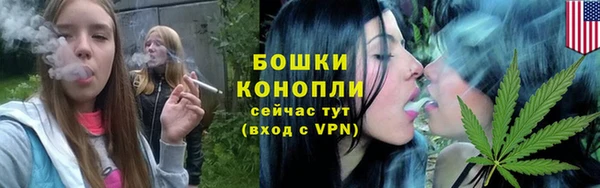 метадон Каменка