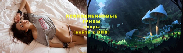 метадон Каменка