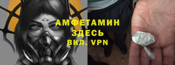 сатива Каменск-Шахтинский