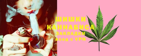 сатива Каменск-Шахтинский