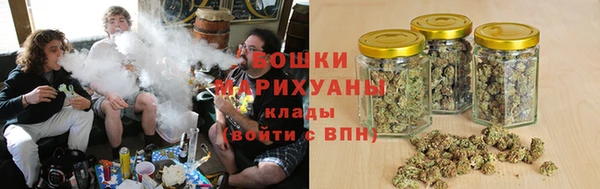 сатива Каменск-Шахтинский
